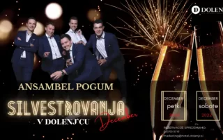 Decemberska silvestrovanja v Hotelu Dolenj'c